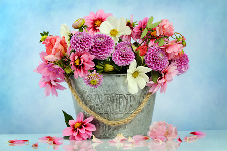 mooie bloemen foto's, afbeeldingen en stock fotografie - 123rf