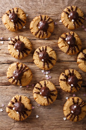 homemade halloween cookies with chocolate spiders close up vertical background top view from above - Halloween Chocolate Spiders homemade halloween cookies with chocolate spiders close up vertical background top view from above - Halloween Chocolate Spiders