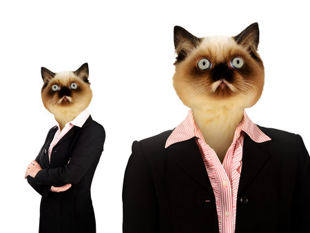 Femme D Affaires Avec La Tete De Chat Les Gens D Affaires Notion Banque D Images Et Photos Libres De Droits Image Femme D Affaires Avec La Tete De Chat Les Gens D Affaires Notion Banque D Images Et Photos Libres De Droits Image