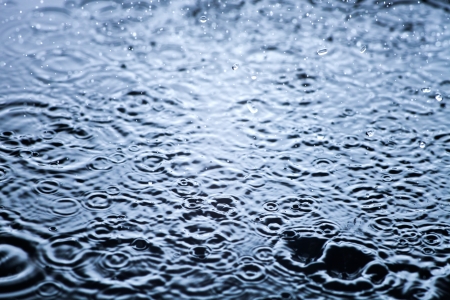 дождь: Капли дождя, замороженные воды крупным планом фон