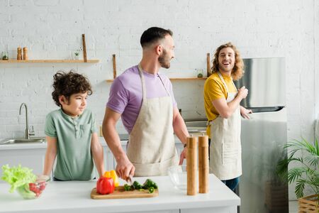 Gay step-parents in illinois