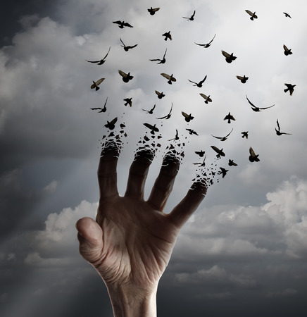 Vida concepto de transformación como una mano tendida tranforming en pájaros que vuelan siguientes luz del sol como un símbolo de la libertad de renovación esperanza y la espiritualidad o la fe humana. Foto de archivo - 47355223