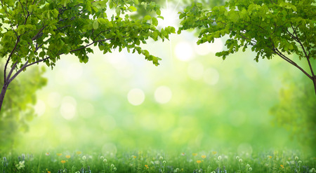 nature background stock photos