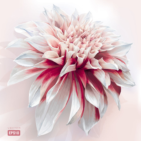 7 319 ダリア のイラスト素材 ベクター 123rf 7 319 ダリア のイラスト素材 ベクター 123rf