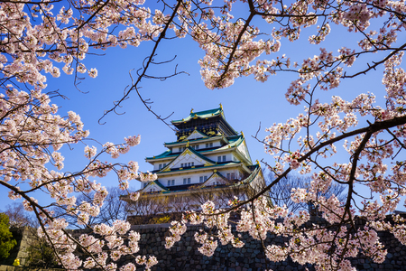 Osaka castle in cherry blossom season, Osaka, Japan