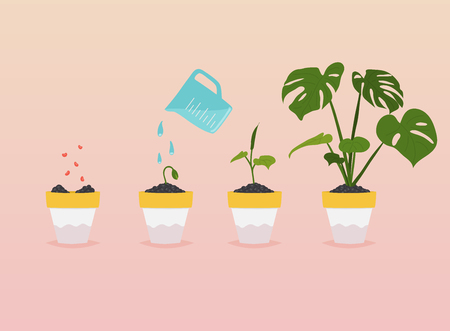 Plant growing stages. Timeline Infographic of planting tree. Flat design style modern vector illustration concept. Иллюстрация