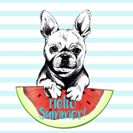 ロゴベクトルの手には ウェルシュ コーギー ペンブローク犬スイカのスライスを食べるの図が描画されます こんにちは夏 光の緑のストリップ上に分離 新鮮なファッションの鮮やかな夏のポスター のイラスト素材 ベクタ Image