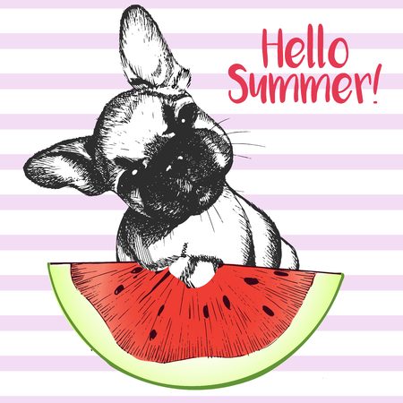 ロゴベクトルの手には ウェルシュ コーギー ペンブローク犬スイカのスライスを食べるの図が描画されます こんにちは夏 光の緑のストリップ上に分離 新鮮なファッションの鮮やかな夏のポスター のイラスト素材 ベクタ Image
