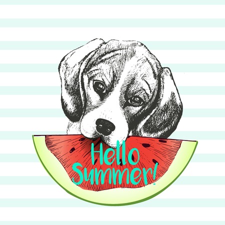 ロゴベクトルの手には ウェルシュ コーギー ペンブローク犬スイカのスライスを食べるの図が描画されます こんにちは夏 光の緑のストリップ上に分離 新鮮なファッションの鮮やかな夏のポスター のイラスト素材 ベクタ Image