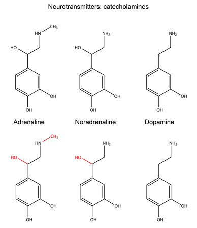 神経伝達物質の化学構造式 エピネフリン ノルエピネフリン セロトニン ドーパミンは ぼやけて背景で のイラスト素材 ベクタ Image 神経伝達物質の化学構造式 エピネフリン ノルエピネフリン セロトニン ドーパミンは ぼやけて背景で のイラスト素材 ベクタ Image