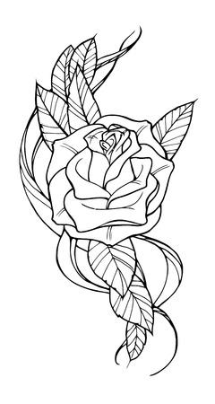 Beautiful rose tattoo, outline black and white illustration - 44133349