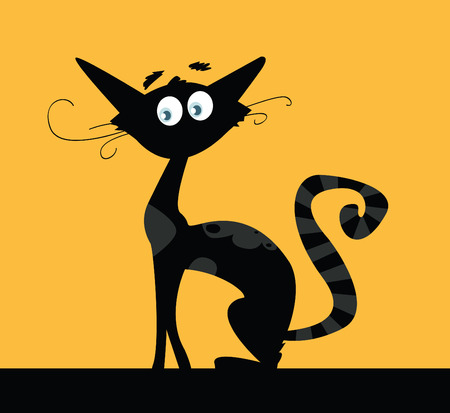 Black cat. Black silhouette of cat isolated on color background. VECTOR.