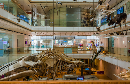 Trento, italy, june 2017: the interior of the famous museum of ... Interior design trento