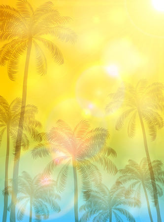 summer background with palms and sun high palm trees and bright