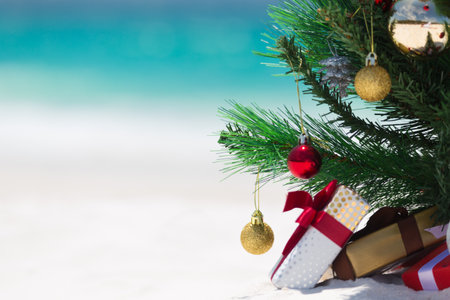34 605 Weihnachten Strand Lizenzfreie Bilder Und Fotos Kaufen 123rf