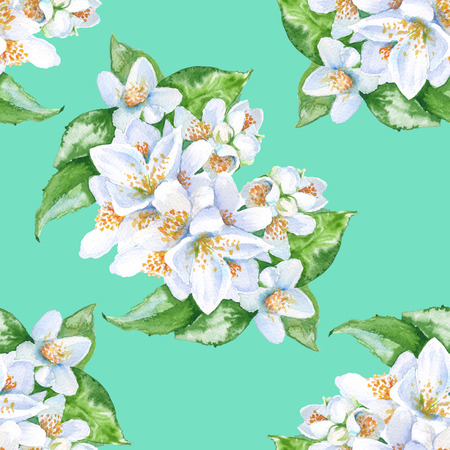 ジャスミンの花のフレーム 葉と花 分離されました 水彩イラスト の写真素材 画像素材 Image