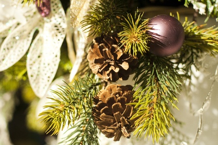 deffirent kinds of christmas tree ornaments and decorations new year stock photo 10856902 - Kinds Of Christmas Trees deffirent kinds of christmas tree ornaments and decorations new year stock photo 10856902 - Kinds Of Christmas Trees
