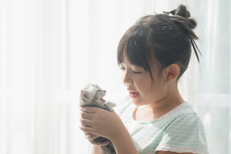 Beautiful Asian Girl Playing With American Shorthair Cat Under