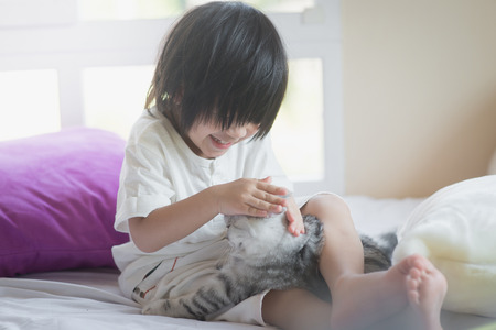 白いベッドの上のアメリカンショートヘア子猫と一緒に遊んでかわいいアジアの赤ちゃん の写真素材 画像素材 Image
