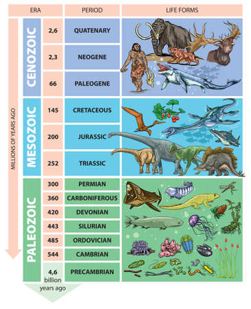 Illustratie van geologische tijdschaal - perioden. Stockfoto