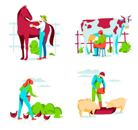 People taking care of animals on farm. male and female farm workers grooming, feeding and milking. livestock agricultural industry. eco farming and agriculture concept flat vector illustration
