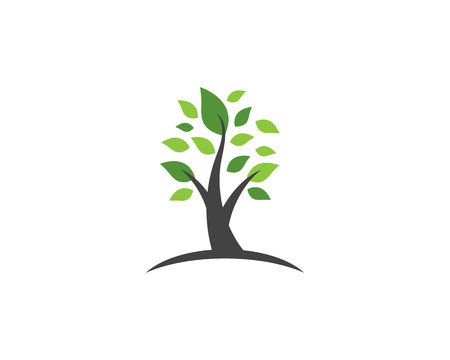 Logos of green leaf ecology nature element vector icon
