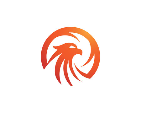 ファルコンのロゴのテンプレートのイラスト のイラスト素材 ベクタ Image