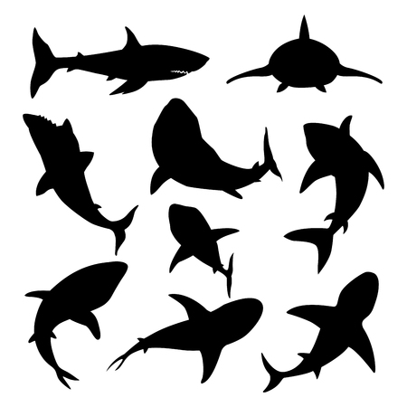 鮫 のイラスト素材 ベクター 123rf