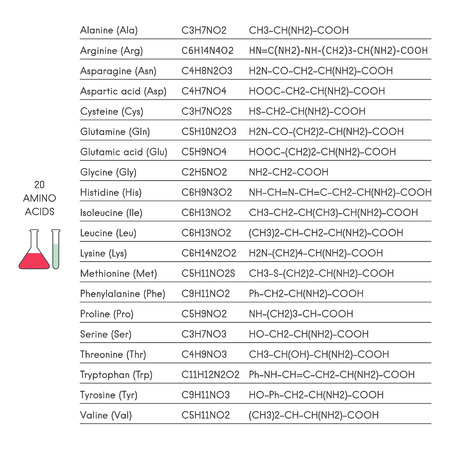 アミノ酸 化学構造 グリシン アラニン バリン ロイシン イソロイシン セリン スレオニン システイン メチオニン プロリン アスパラギン酸 アスパラギン グルタミン酸 グルタミン リジン アルギニン ヒスチジン フェニルアラニン チロシンと アミノ酸 化学構造 グリシン アラニン バリン ロイシン イソロイシン セリン スレオニン システイン メチオニン プロリン アスパラギン酸 アスパラギン グルタミン酸 グルタミン リジン アルギニン ヒスチジン フェニルアラニン チロシンと