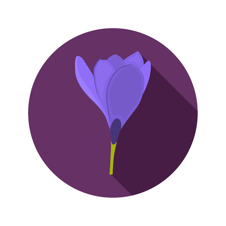 crocus color flat icon for web and mobile design vector