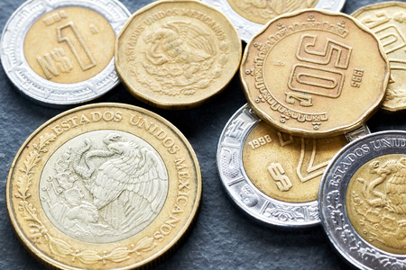 中国 1元 蓮の花 硬貨 中国 1元 蓮の花 硬貨