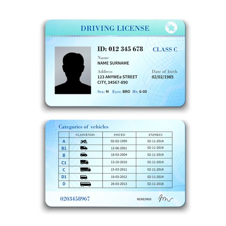 859 driving license stock illustrations cliparts and royalty free