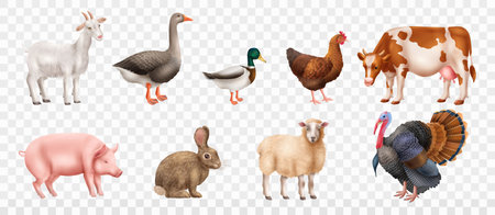 Ensemble d'animaux de ferme Banque d'images