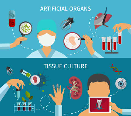 Two horizontal flat biotechnology banner set with descriptions of artificial organs and tissue culture vector illustration