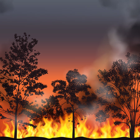 Bush Fire Stock Vector Illustration and Royalty Free Bush Fire Clipart