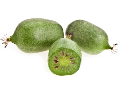 ミニ キウイ赤ちゃんフルーツ サルナシ の写真素材 画像素材 Image ミニ キウイ赤ちゃんフルーツ サルナシ の写真素材 画像素材 Image