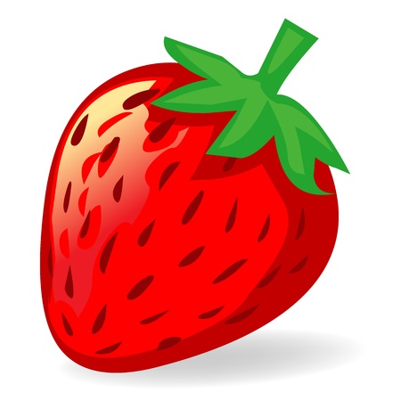 Strawberry isolated illustration on white background
