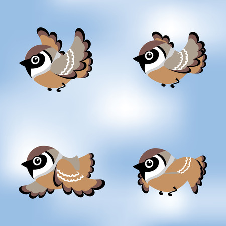 animated fly