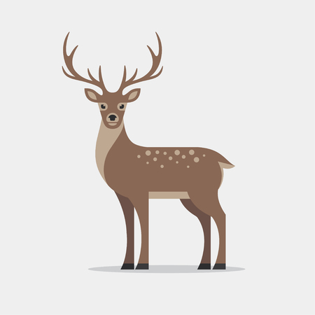 Deer illustration in flat style. Vector Illustration