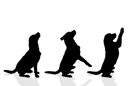 犬は横向きに立っています 黒いシルエットが分離されました ベクトル図のイラスト素材 ベクタ Image