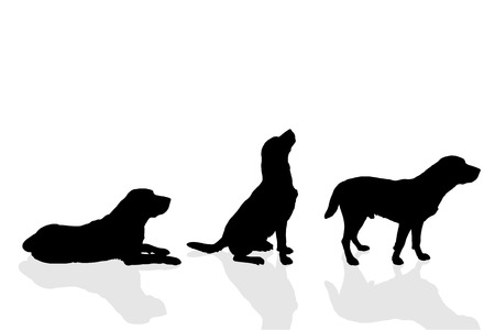犬は横向きに立っています 黒いシルエットが分離されました ベクトル図のイラスト素材 ベクタ Image