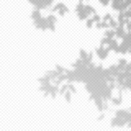 Realistic vector transparent overlay blured shadow of branch leaves. Imagens