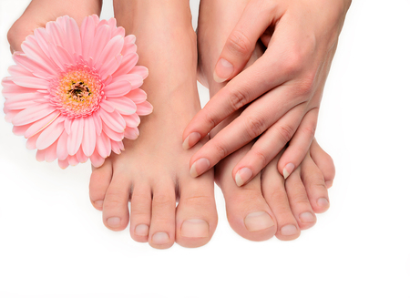 マニキュアとガーベラの花のない女性純粋なきれいな手と足は白に隔離されています 磨かれていない空白のナチュラル爪 健康なニートスキン の写真素材 画像素材 Image