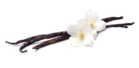 Vanilla sticks with flowers on white backgrounds.