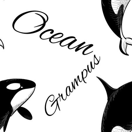 白と黒のジンベイザメのイラスト素材 ベクタ Image