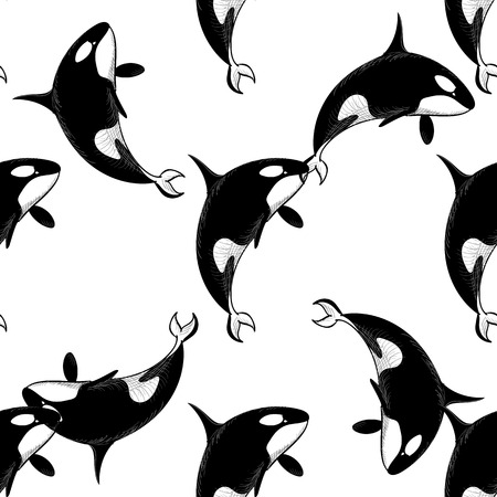 白い背景の落書きスタイルでグランパス シャチ シームレス パターン 野生の海洋動物の壁紙 生地に印刷用のベクトル図 のイラスト素材 ベクタ Image