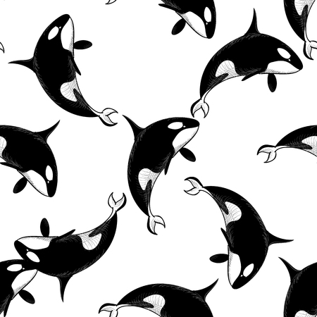 白と黒のジンベイザメのイラスト素材 ベクタ Image