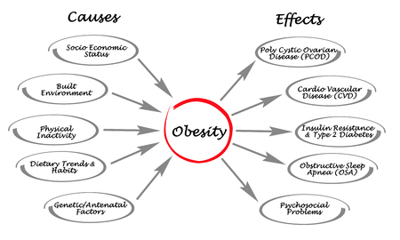 the effects of obesity essay Leland curry, natasha edlefsen, sarah katz, kiana khojastehfar, kasey mullen, madeline stocks 12/05/08 period 1 the causes and effects of obesity. the effects of obesity essay Leland curry, natasha edlefsen, sarah katz, kiana khojastehfar, kasey mullen, madeline stocks 12/05/08 period 1 the causes and effects of obesity.