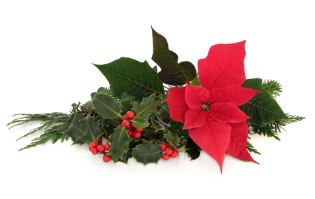 christmas poinsettia flower table decoration with holly ivy spruce pine and cedar cypress leaf - Floral Table Decorations For Christmas christmas poinsettia flower table decoration with holly ivy spruce pine and cedar cypress leaf - Floral Table Decorations For Christmas