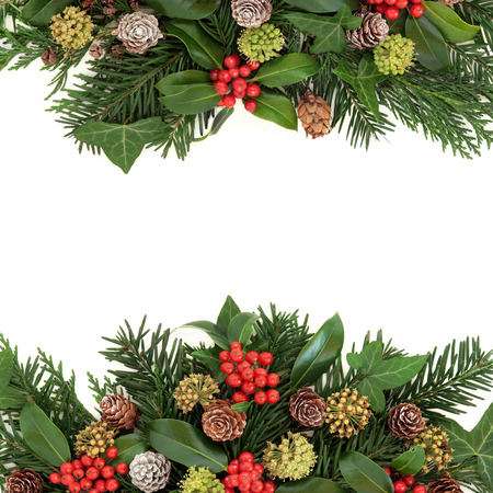 stock photo winter and christmas greenery border with holly ivy pine cones cedar cypress and fir leaf sprigs over white background - Christmas Greenery stock photo winter and christmas greenery border with holly ivy pine cones cedar cypress and fir leaf sprigs over white background - Christmas Greenery